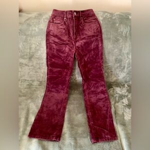 Ann Taylor Petite Velvet Burgundy Pants